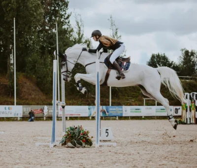 Whjite horse and rider mid-air while jumping over an obstacle in showjumping competition