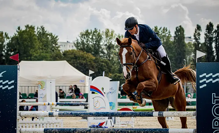 Jinete de salto montando un caballo en el aire, saltando un obstáculo